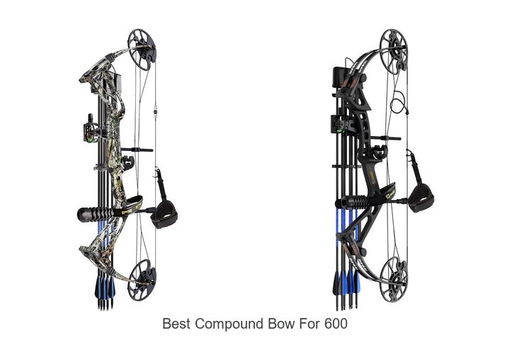 best compound bow for 600