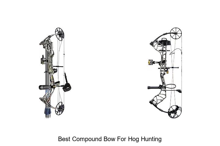 best compound bow for hog hunting