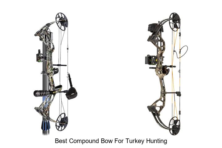 best compound bow for turkey hunting