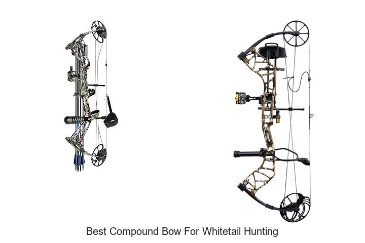 best compound bow for whitetail hunting