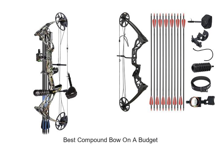 best compound bow on a budget