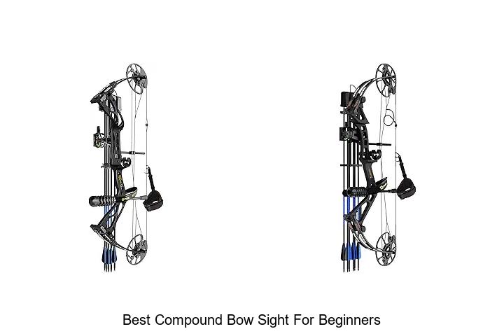 best compound bow sight for beginners