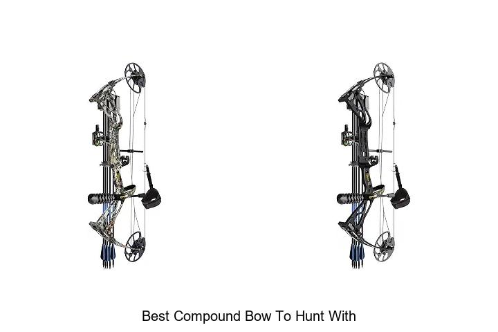 best compound bow to hunt with