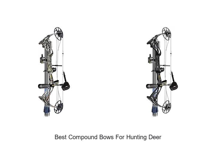 best compound bows for hunting deer