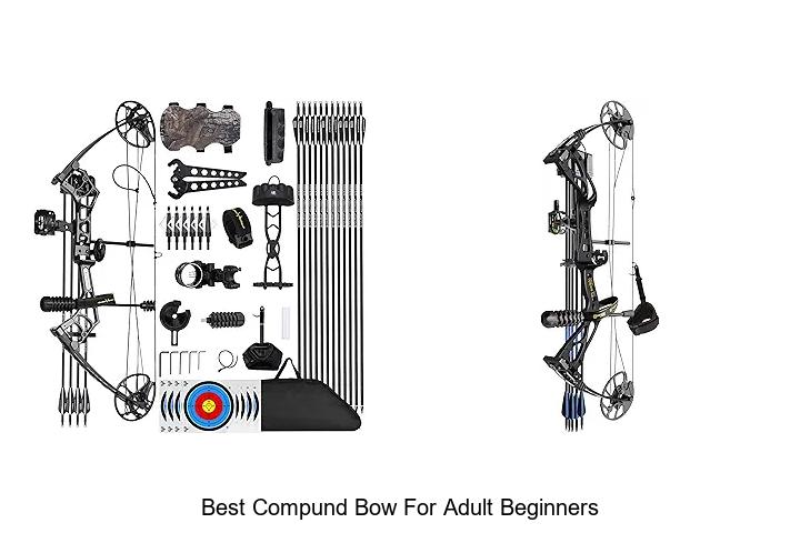 best compund bow for adult beginners