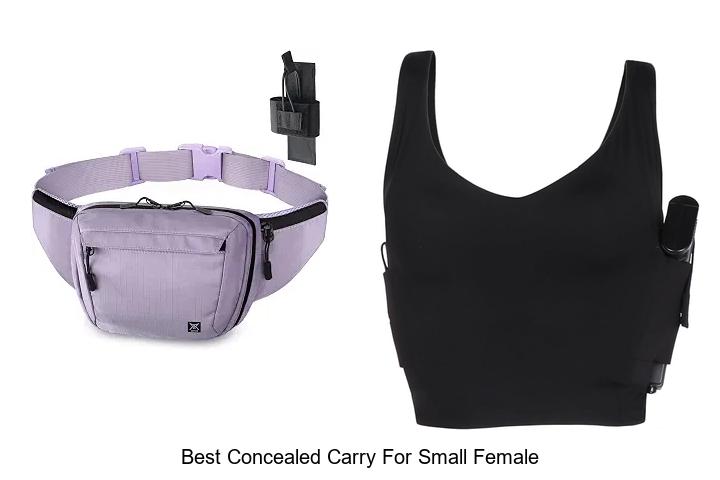 best concealed carry for small female