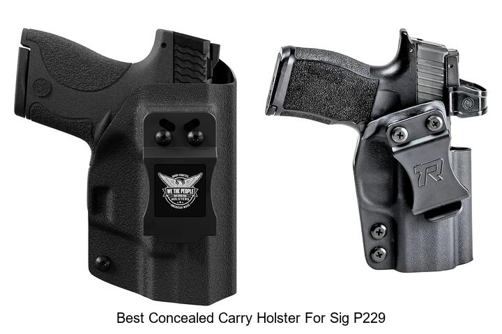 best concealed carry holster for sig p229
