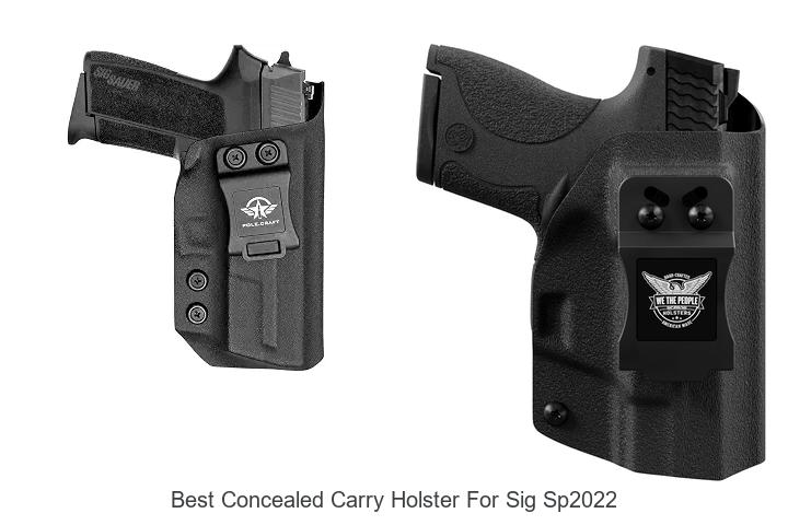 best concealed carry holster for sig sp2022