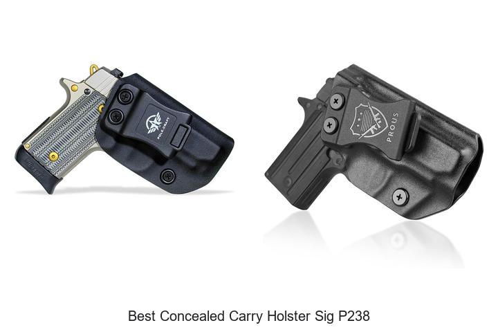 best concealed carry holster sig p238