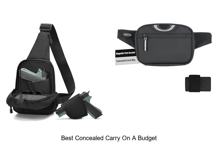 best concealed carry on a budget