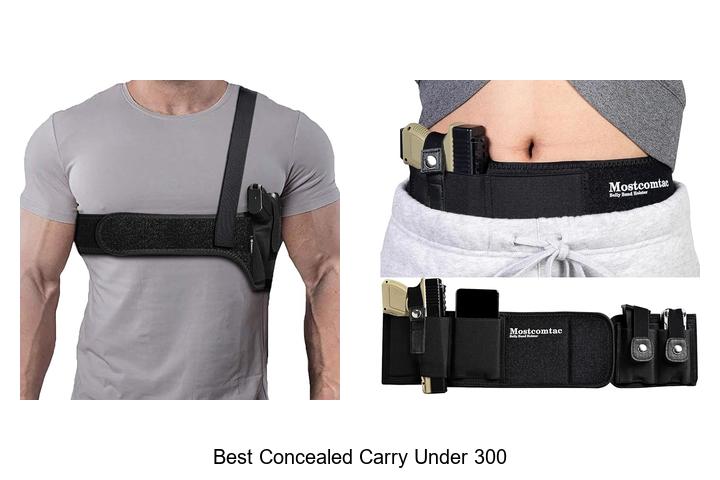 best concealed carry under 300