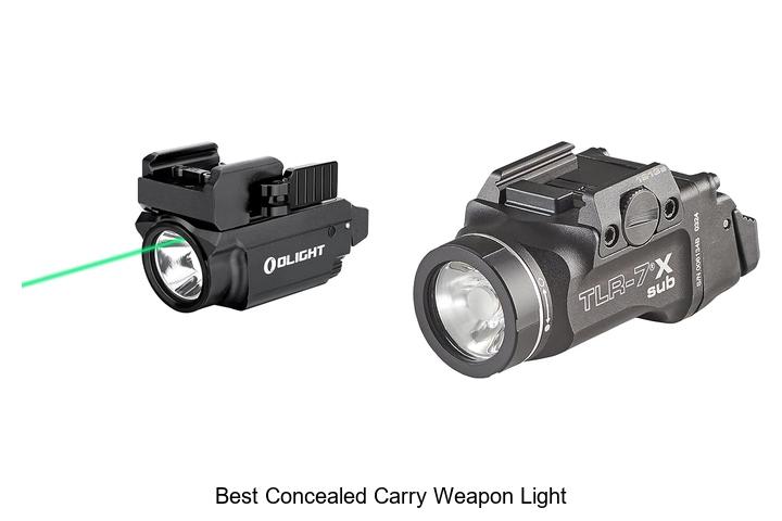 best concealed carry weapon light​