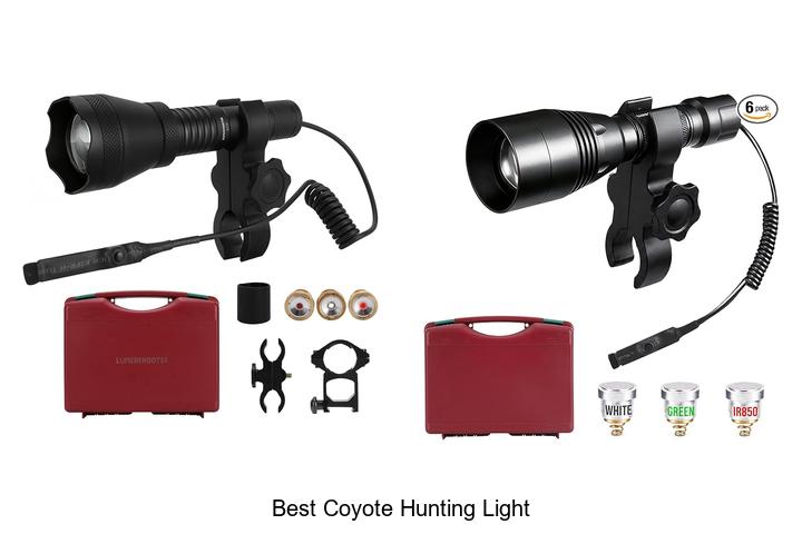 best coyote hunting light