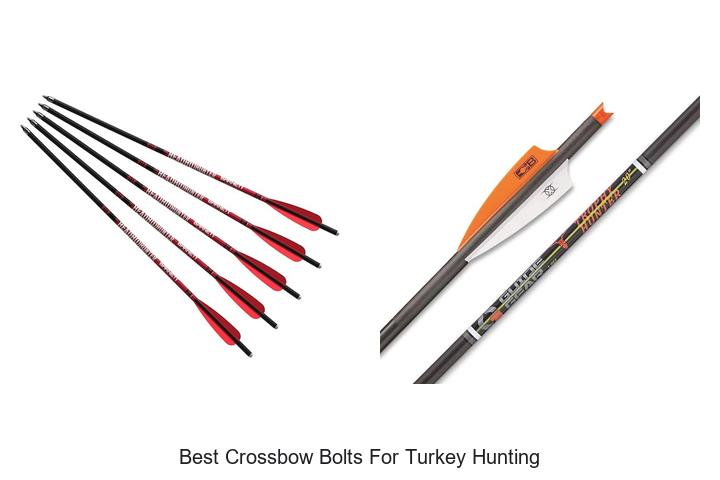 best crossbow bolts for turkey hunting