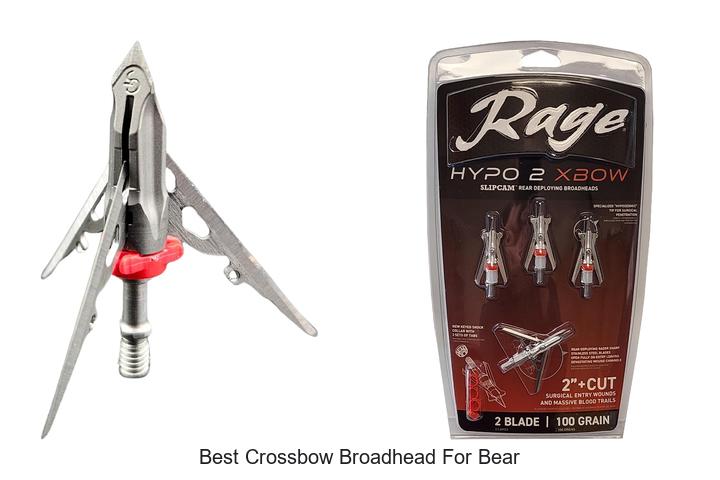 best crossbow broadhead for bear