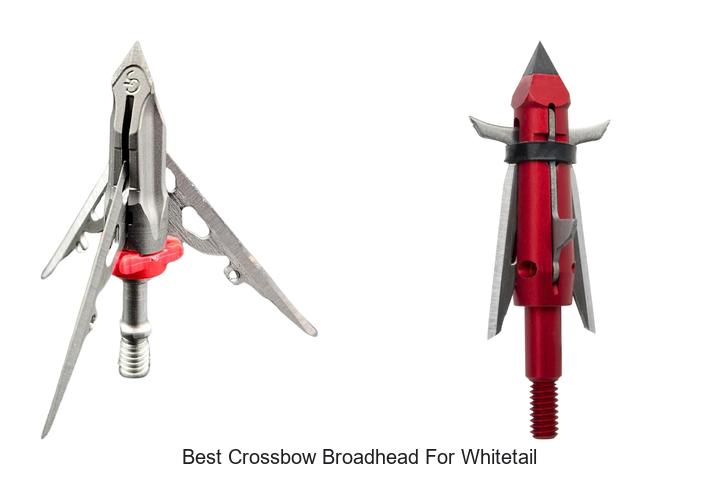 best crossbow broadhead for whitetail