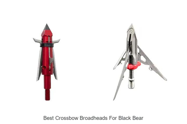 best crossbow broadheads for black bear