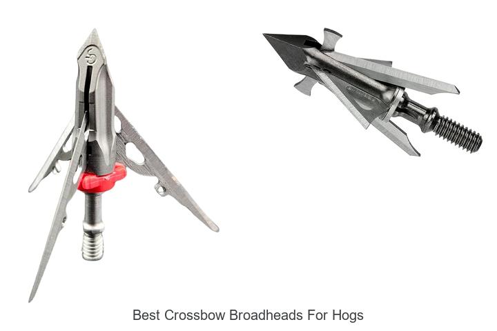 best crossbow broadheads for hogs