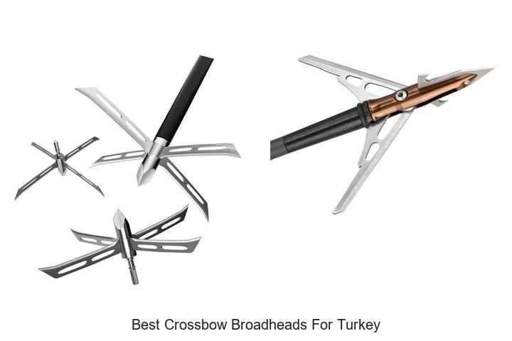 best crossbow broadheads for turkey