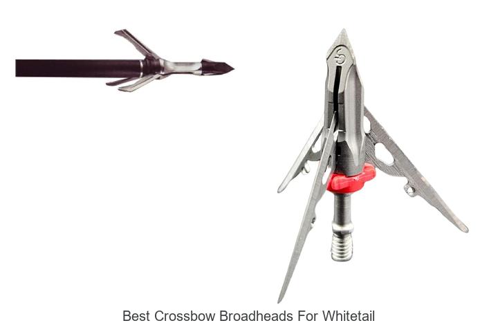 best crossbow broadheads for whitetail