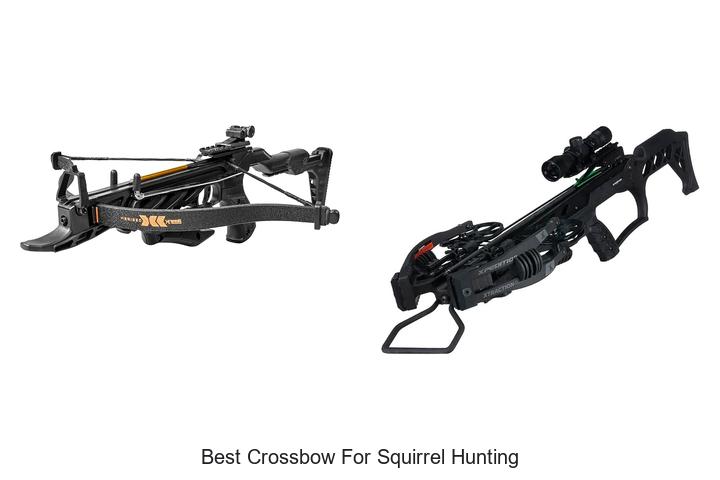 best crossbow for squirrel hunting