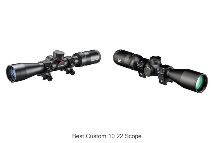 best custom 10 22 scope