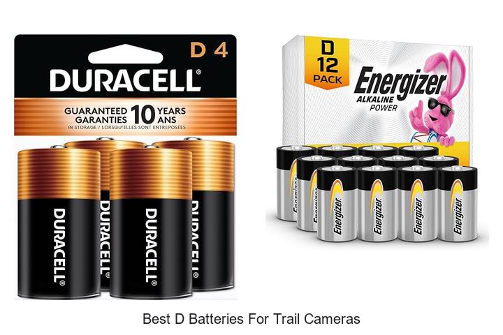 best d batteries for trail cameras