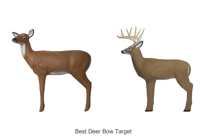 best deer bow target