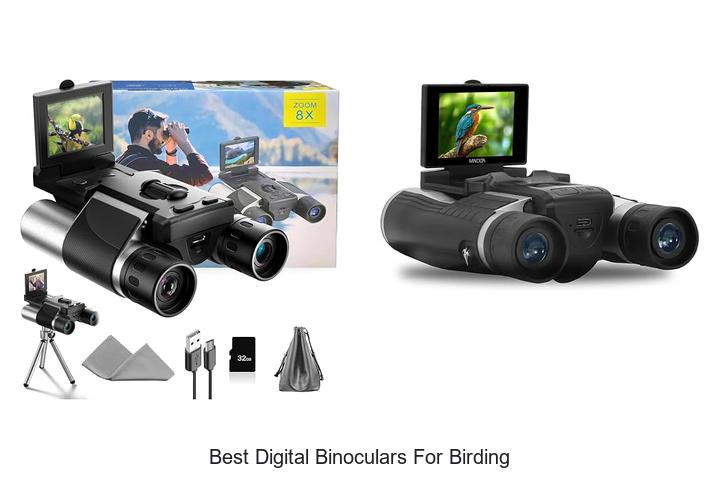 best digital binoculars for birding