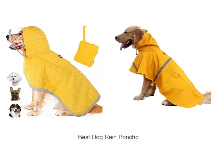 best dog rain poncho