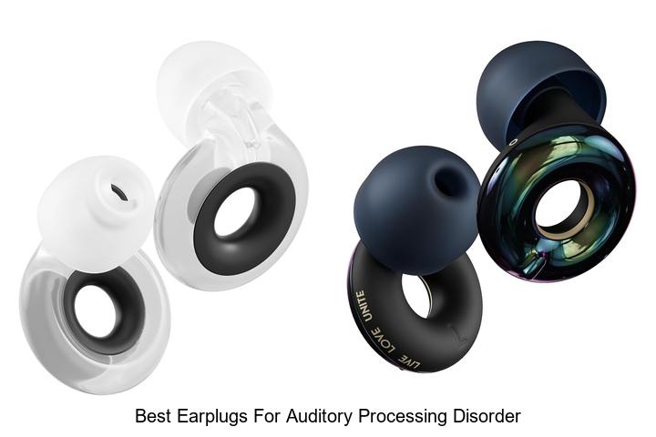 best earplugs for auditory processing disorder