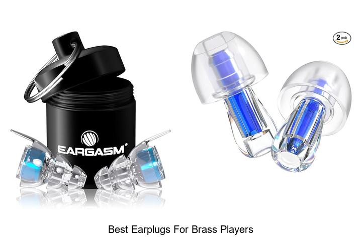 best earplugs for brass players