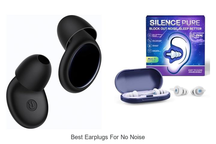 best earplugs for no noise