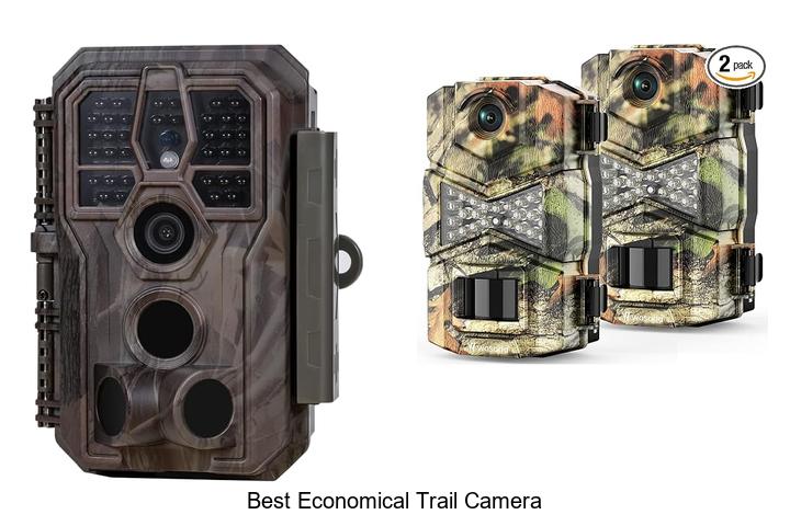 best economical trail camera