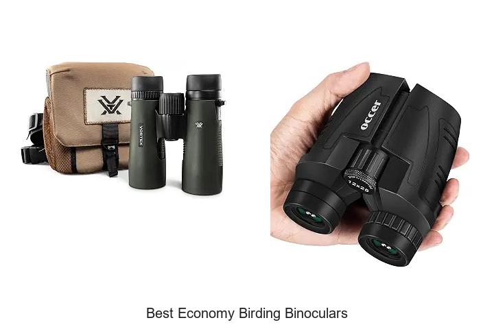 best economy birding binoculars
