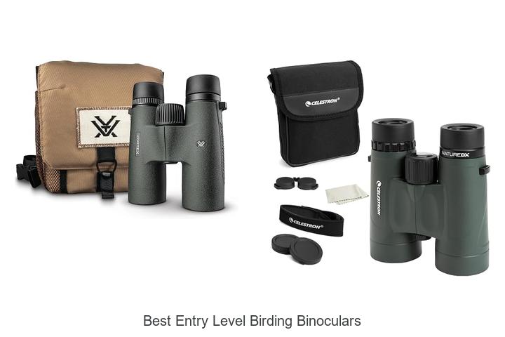 best entry level birding binoculars