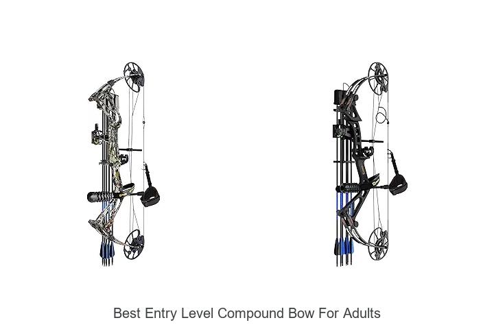 best entry level compound bow for adults
