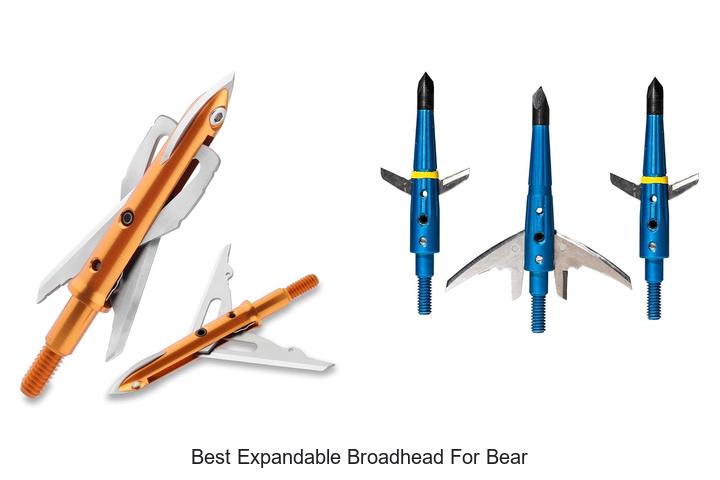 best expandable broadhead for bear