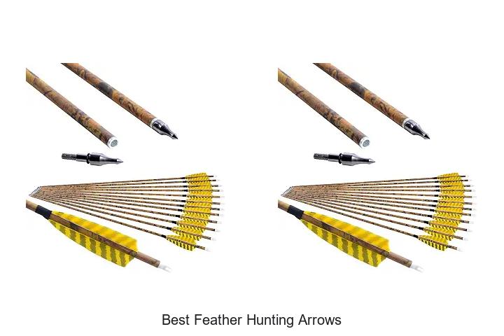 best feather hunting arrows