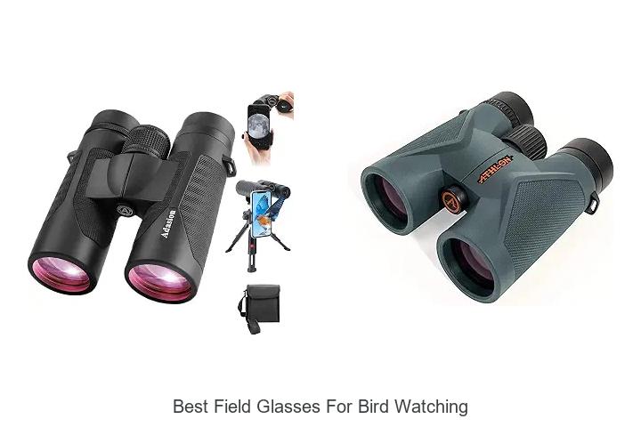 best field glasses for bird watching