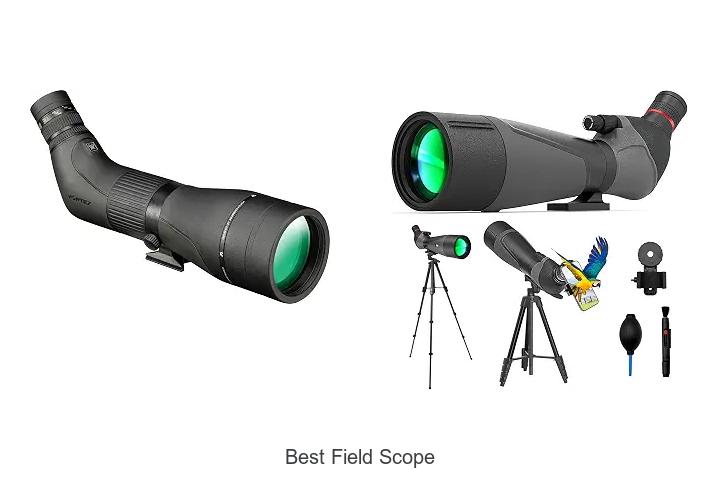 best field scope