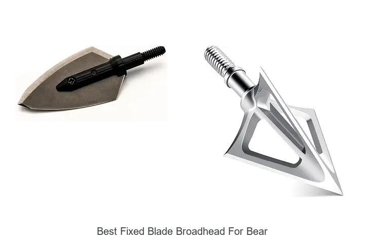 best fixed blade broadhead for bear