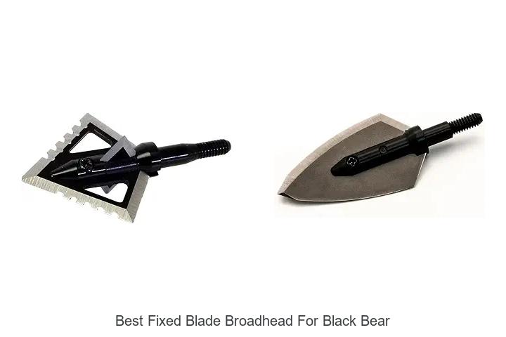 best fixed blade broadhead for black bear