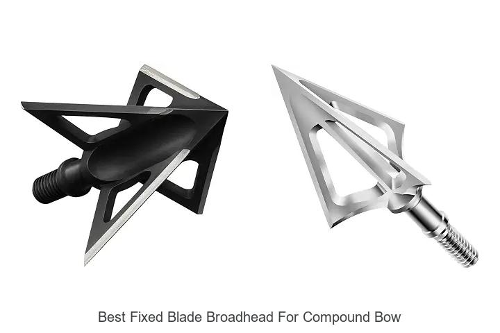 best fixed blade broadhead for compound bow