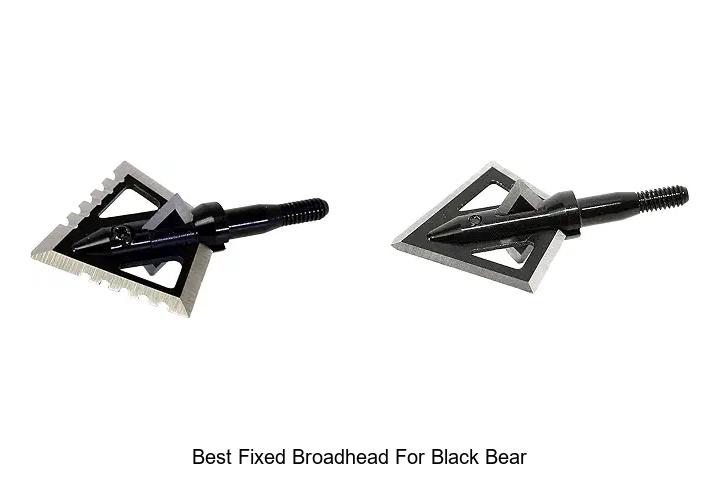best fixed broadhead for black bear