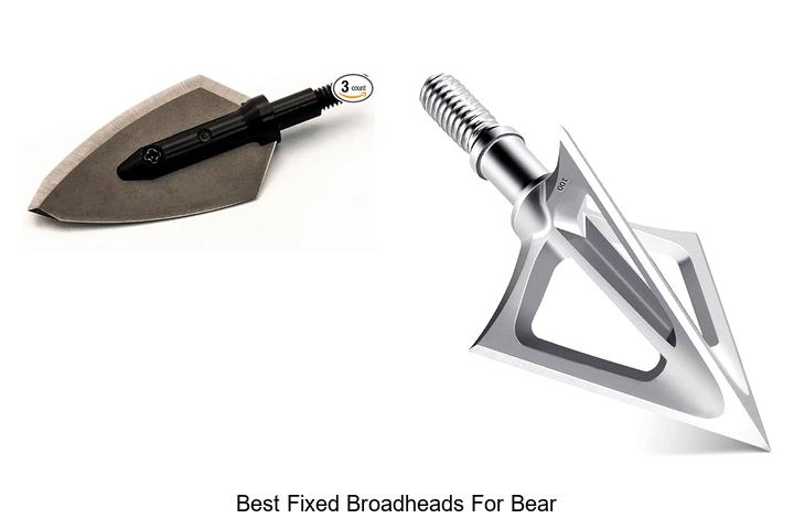 best fixed broadheads for bear