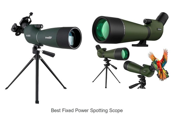 best fixed power spotting scope
