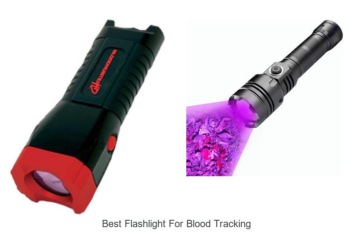best flashlight for blood tracking