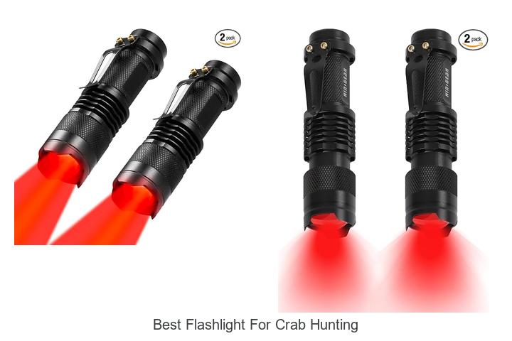 best flashlight for crab hunting
