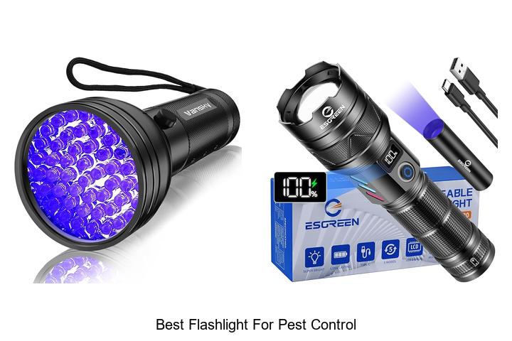 best flashlight for pest control